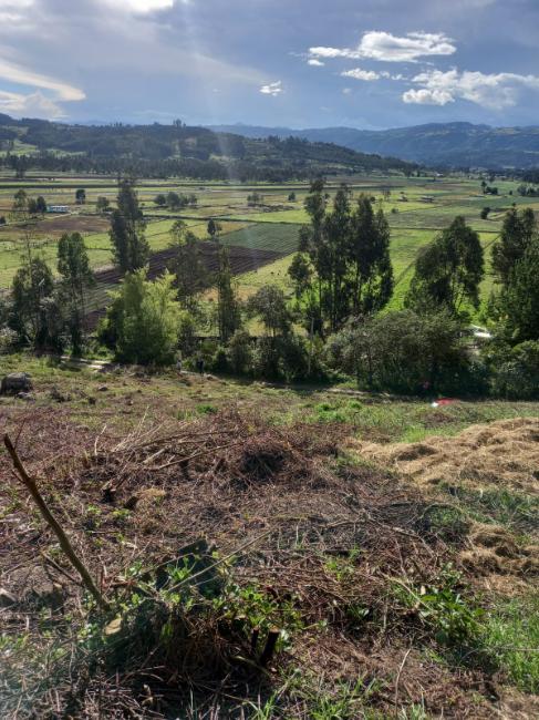 SE VENDE FINCA A 10 KILOMETROS DE DUITAMA BOYACA VIA CHARALA SANTANDER