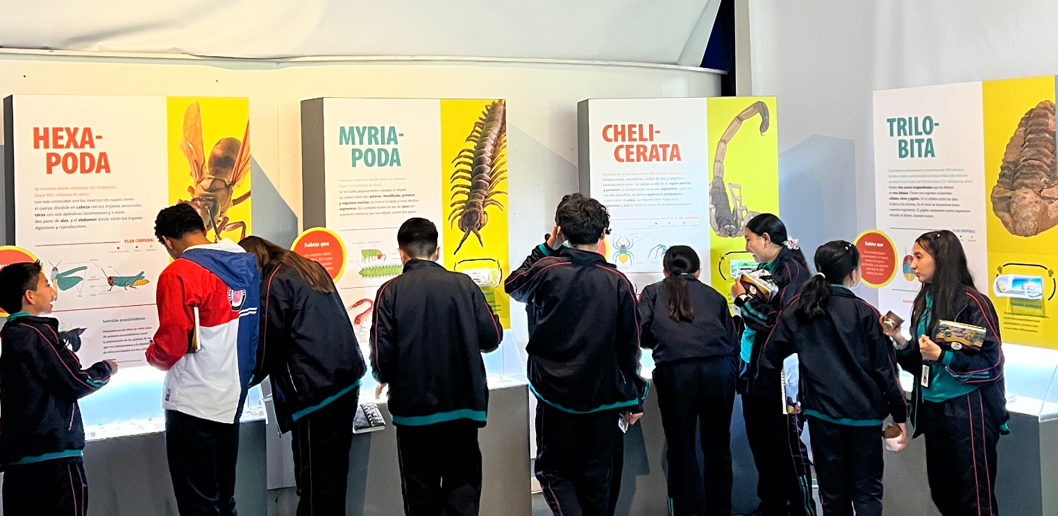Colegio John Dewey Duitama